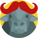 Charge Buffalo
